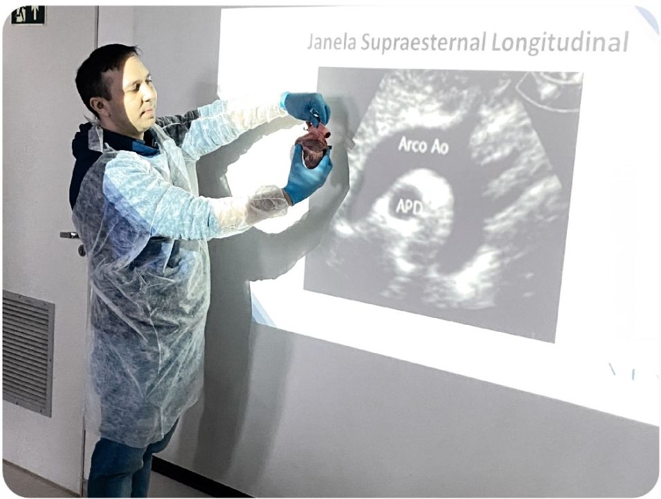 Janelas ecocardiográficas